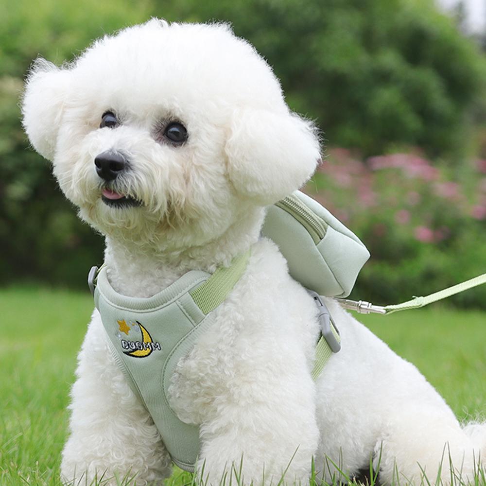Cute Cartoon Pet Harness with Backpack Outdoor Travel Vest Type Small Meidum Dog Detachable Detachable Backpack