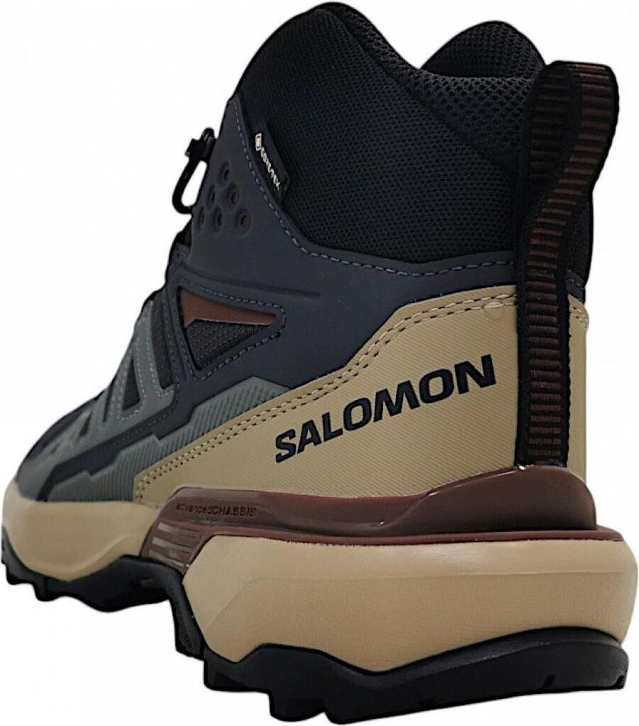 Hiking Shoes Salomon X Ultra 360 Mid GTX Phantom/desert Tan/rum Raisin