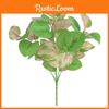 Citriodoraplant Eucalyptus For Party Floral Decor And Arrangements Gift