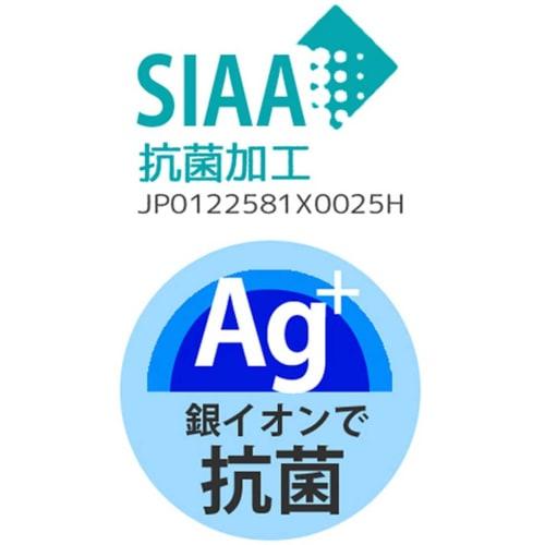 Skater 21cm Chopsticks and Chopstick Case Set, Antibacterial, Pok?mon Design, for Adults and Men, ABC45AG-A