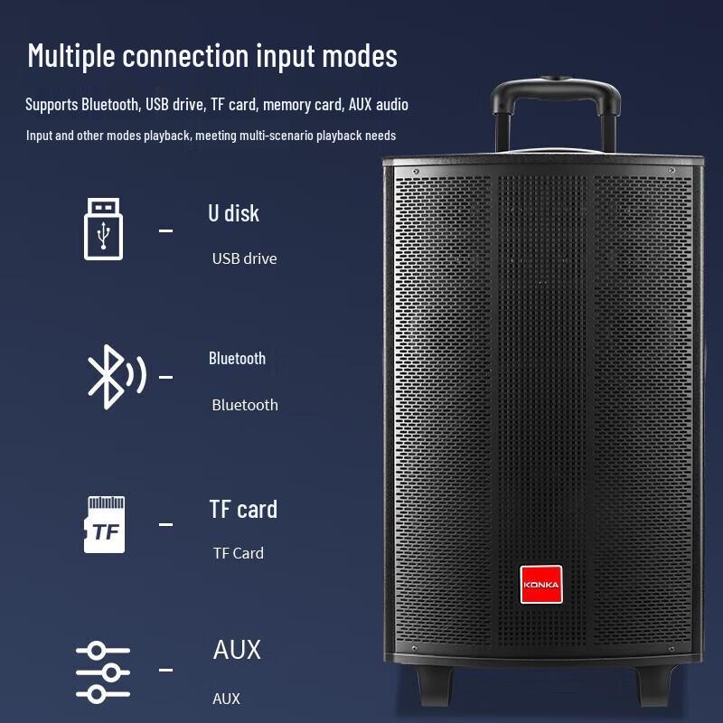 KONKA 12-inch Portable Karaoke Speaker with Dual Mics