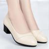 Soft Leather Single Shoes Women's Low-heeled Spring and Summer Soft-soled Comfortable Non-slip Fashion Leather Shoes Women's Shoes Mid-heel Work Shoes