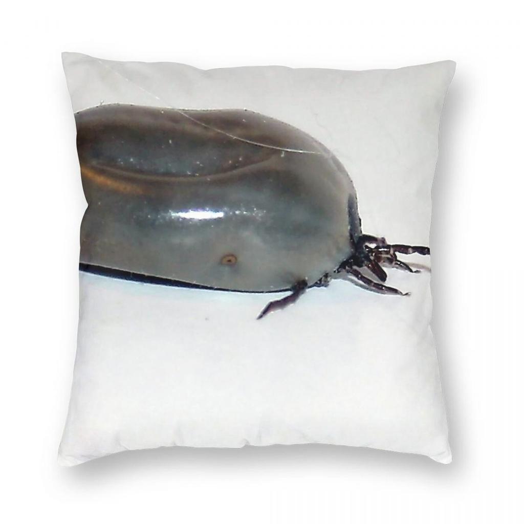 Fat As A Tick Insect Square Pillowcase Polyester Linen Velvet Printed Zip Decor Sofa Seater Cushion Case