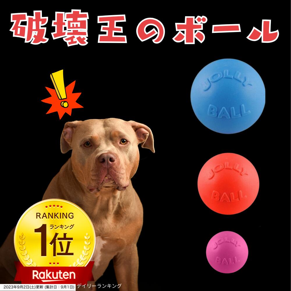 Durable ball dogs Bounce Play puncture-proof toy Jolly Pet sturdy chew small medium large giant Pets