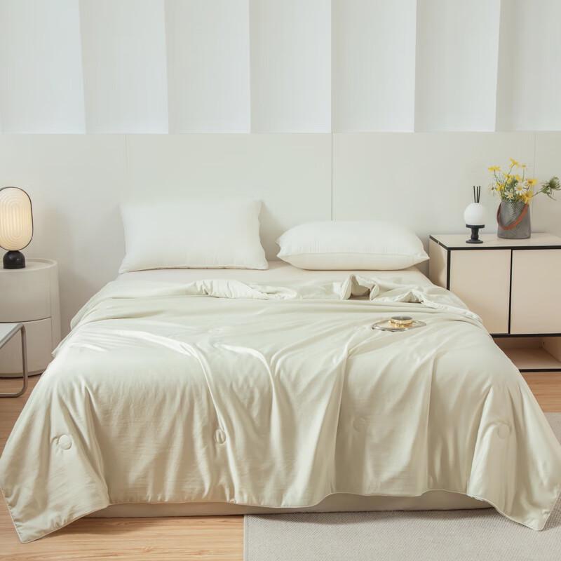Muji Soft Skin-Friendly Water Ripple Satin Silk Quilt