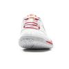 Li Ning Cushioning Slip Resistant Abrasion Resistant Low top Badminton Shoes Unisex Gray Red AYTV003-3
