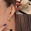 Versatile Chunky Hoop Earrings Simple Ear Pendant Vintage Drop Earrings  Women