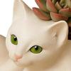 Cats Themed Resin Flower Pot with Drainage Holes Indoor Outdoor Decorative Planter For Small Plant Cactuses Herbs