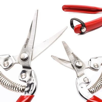Garden Pruning Shears Potted Branches Scissors Fruit Picking Small Scissors Household Hand Tools Orchard Farm Gardening Tools