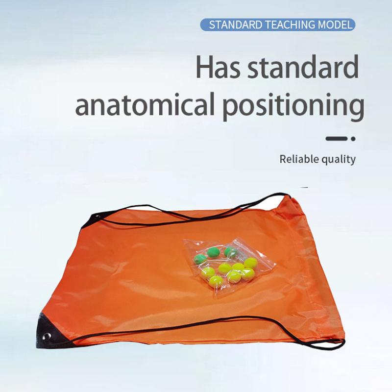 1Pcs First Aid Teaching Tools Anti Choking Trainer With Back Slap Heimlich Practice Training Model