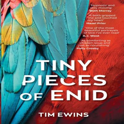 Tiny Pieces of Enid by Tim Ewins Paperback Book 9781785633102