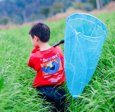 Butterfly Net Telescopic Fishing Net Shrimp Small Fishing Net Pocketstainless Steel Children'S Insect Catching Net