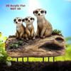 Meerkat Garden Stake Decoration 2D Versatile Gifts Acrylic Plague Yard Stakes for Lawn Spring