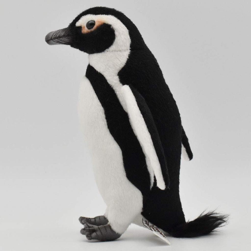 Cape Penguin 21 BH7084