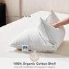 Luxury Antibacterial Goose & Duck Down Pillow: Double/Triple Layer for Five-Star Comfort