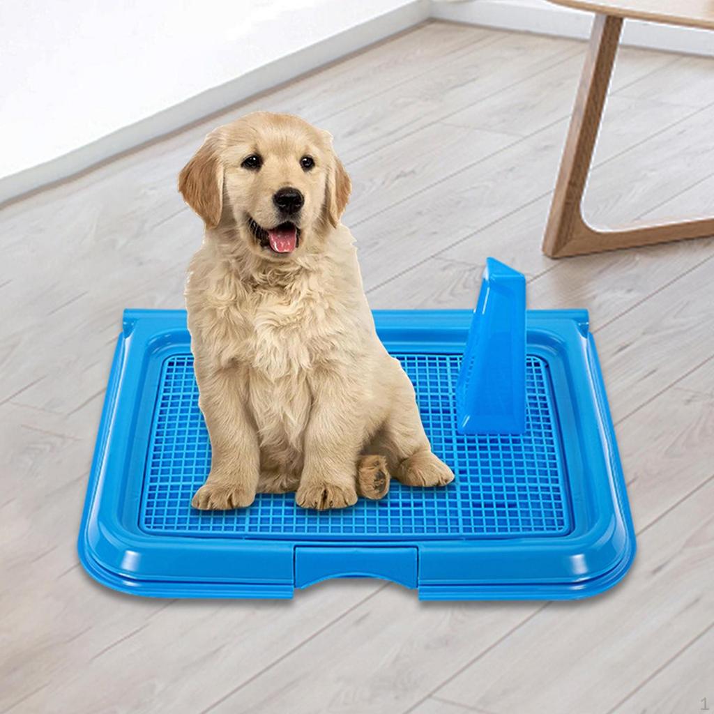 Tray for Dogs - Easy Clean and Non-Slip Design