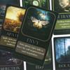 Shadow Work Cards | 33 Unique Oracle Cards | Self-Care & Oracle Companion 10.3*6cm
