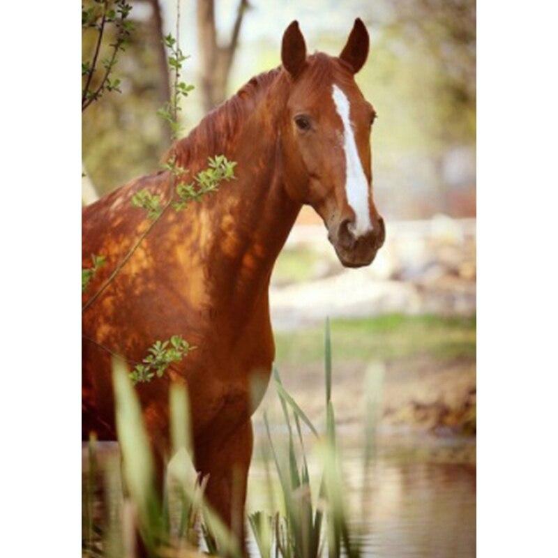 Neue 5D DIY Landschaft Diamant Malerei Pferd Diamant Stickerei Tier Kreuz Stich Volle Runde Bohrer Wohnkultur Manuelle Geschenk