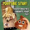 A Farting Poop Toy Speaker, A Plush Toy That Imitates Farting Poop, A Prank And Funny Toy