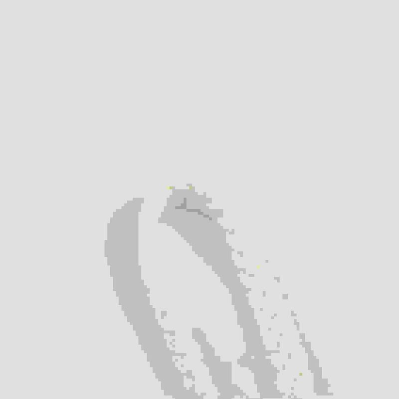 Kaslead New Arrival Women's Clothing Fashion Style Fashion Coconut Tree Print Vacation Style Sling Dress