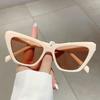 Vintage Cat Eye Women Sun Glasses Trendy Retro Brand Designer Shades  New Fashion High Quality Outdoor Eyewear