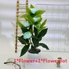 Flower Rose Artificial Flowerpot Green Plant For Wedding Party Prop Decoration