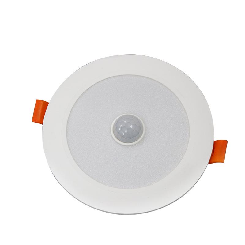 Slim Voice-Controlled Radar Downlight for Ceiling, Stairs, and Balcony