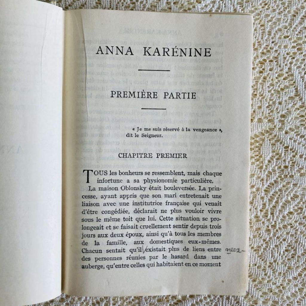 [USED] Foreign books, old books, "Anna Karenina, Volume 1", Tolstoy, Nelson, beautiful binding