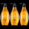 Seeyoung Ginger Anti-Hair Loss & Oil Control Shampoo - 3 x 535ml