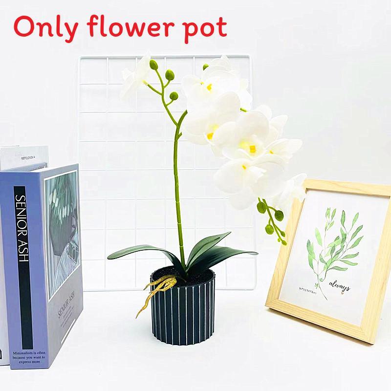 

Phalaenopsis Simulated Potted Artificial Flower Desktop Decoration Ornament White