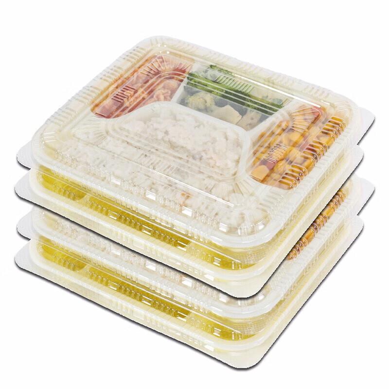 Churong Disposable 4-Compartment Travel Bento Boxes