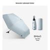 Beneunder Goddess Sun Protection 4-Piece Set