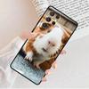 Hamster Guinea Pig Phone Case For Samsung Galaxy S25 S23 S30 S8 S21 S20 FE S24 S22 Note 10 20 S8 Plus Lite Ultra