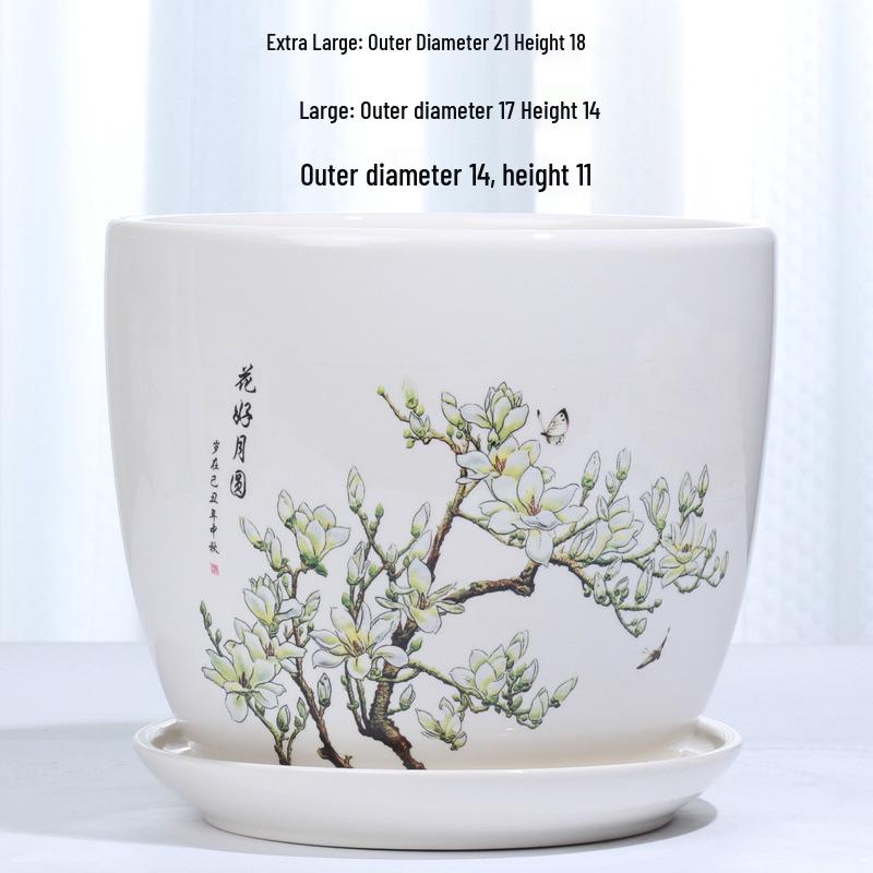 Simple White Ceramic Flower Pot with Base for Indoor Plants - Available in Large and Extra Large