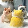 New Cute Chubby Cat Orange Soft Give Birthday Gifts To Girls and Kid Home Decor Ornaments Cats Bedroom Living Room Miniatures