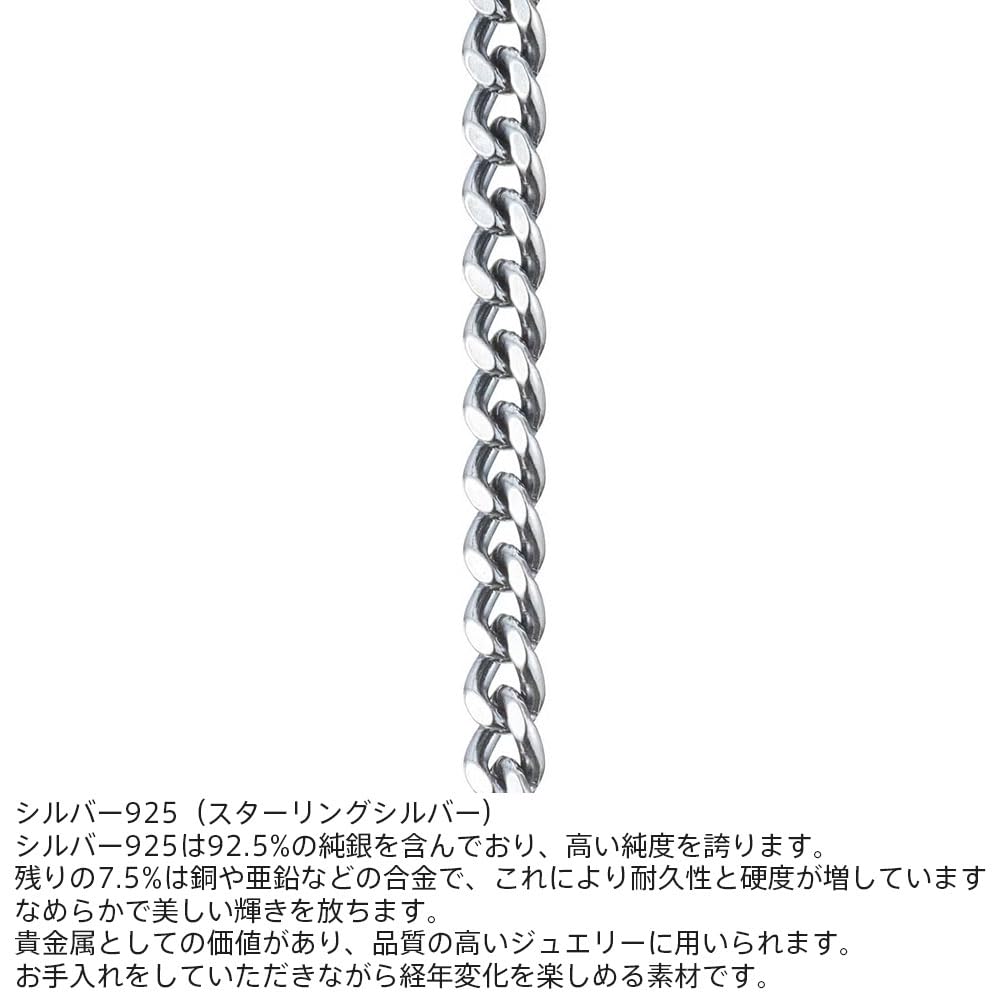 Small Silver Chain Curb Sterling Silver Oxidized with Custom Brand [Lion Heart] Necklace, Chain, 925, Finish, 50cm, Gift-Wrapped, Pouch, Men's