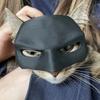 Black Catwoman Cat Mask Halloween Pet Headdress Decoration Plastic Material
