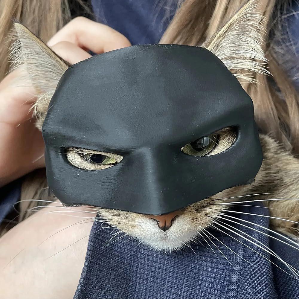 Black Catwoman Cat Mask Halloween Pet Headdress Decoration Plastic Material