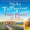 Tiny Pieces of Us by Nicky Pellegrino Paperback Book 9781409179016