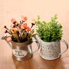 Vintage Letters Engraved Garden Bonsai Plant Flower Iron Watering Can Pot Kettle for Garden Small Garden Tools Supplies