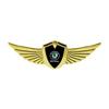Premium New Metal Wings Car Badge – Skoda Body Decoration Sticker for Octavia, Fabia, Kamiq, Karoq Kodiaq Rapid SCALA, Superb