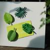 4 Peças Ímã de Geladeira Folha de Monstera 3D, Ímã Decorativo de Geladeira Folhas Tropicais, Suporte para Recados Fotos para Casa Cozinha Escritório