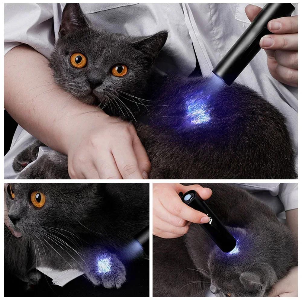 Mini 365nm UV Flashlight Aluminum Type C Rechargeable Ultraviolet Light Torch Black Light Pet Urine Detector Black Flashlights