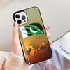 Pakistan Flag Phone Case For iPhone 17 Air 16 15 14 13 12 11 Pro Max Plus Max Cover Shell coque