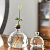 Transparent Avocado Seed Culture Kit - Glass Vase for Plant Starters, Perfect for Gardening Enthusiasts