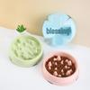 Anti-Choking Pet Feeder Bowl with Suction Cup for Cats and Small To Medium Dogs