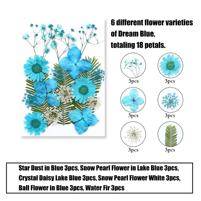 205Pcs Pressed Dried Flower For Resin Natural Dry Flower Leaf with Tweezers Sticker for Art Craft Candle Jewelry Making