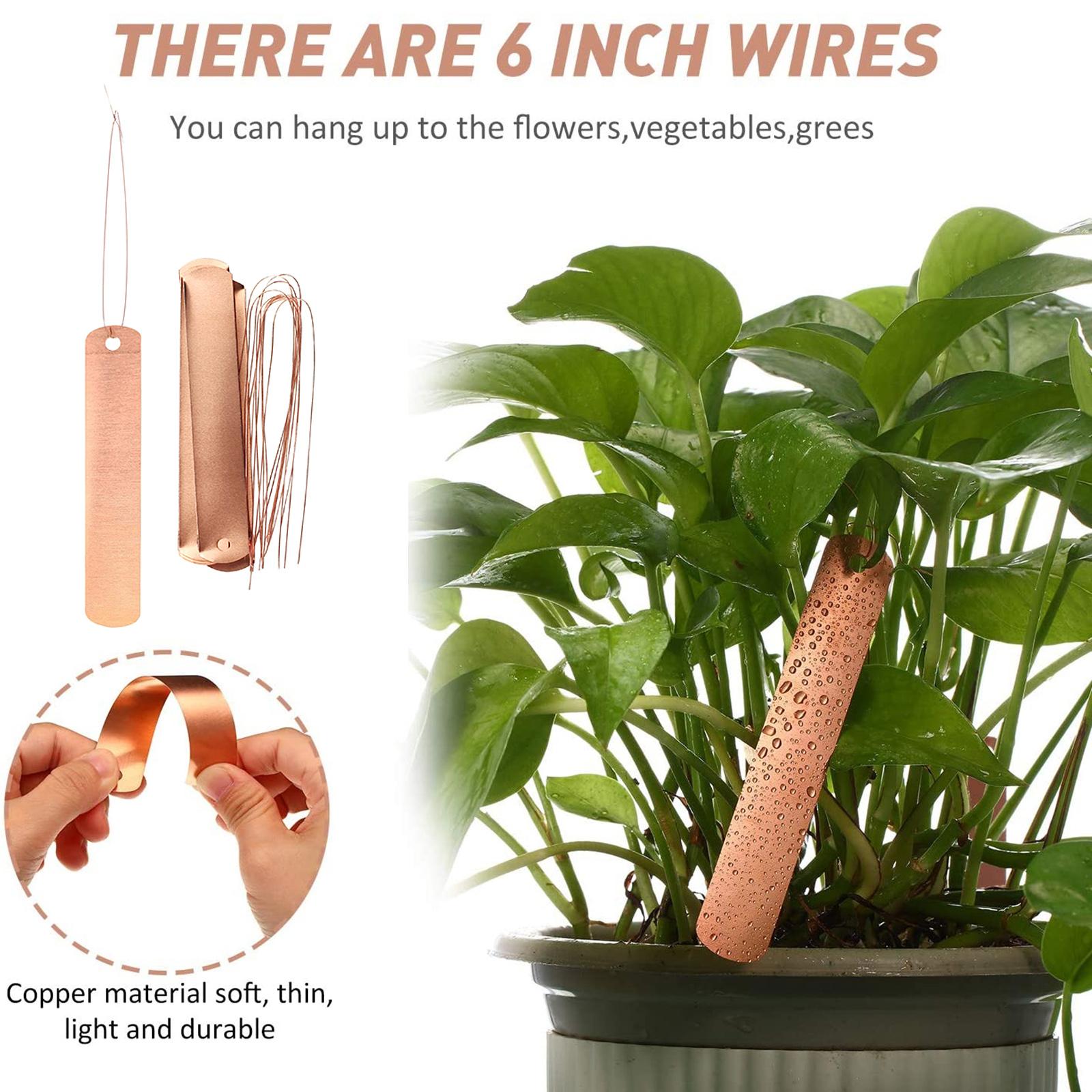 

20pcs Copper Plate Plant Labels Long Reusable Weatherproof Garden Tags Hanging Planting Gardening Marker with Ties