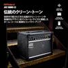 Roland/JC-22 Roland Guitar Amp Jazz Chorus 30W