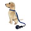 Adjustable Collar Pet Grooming Restraint Leash Strong Suction Cup Dog Table Sling  Cat Shower